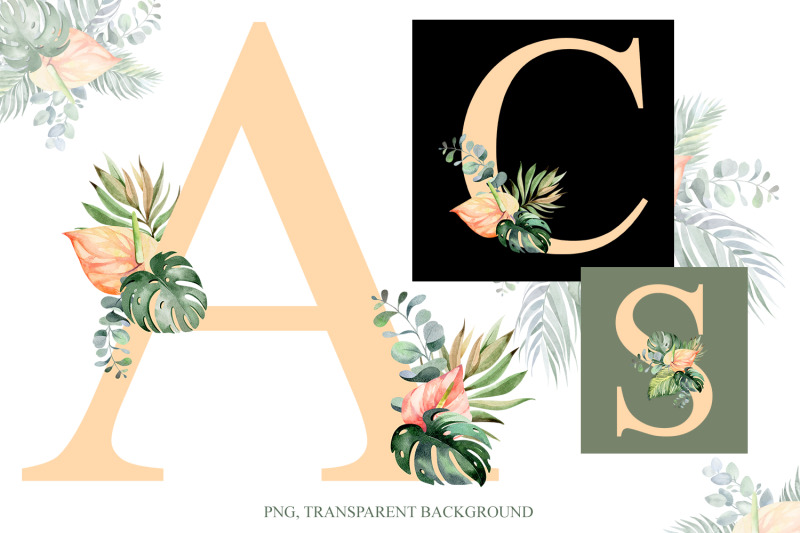alphabet-with-tropical-flowers-individual-elements-of-png