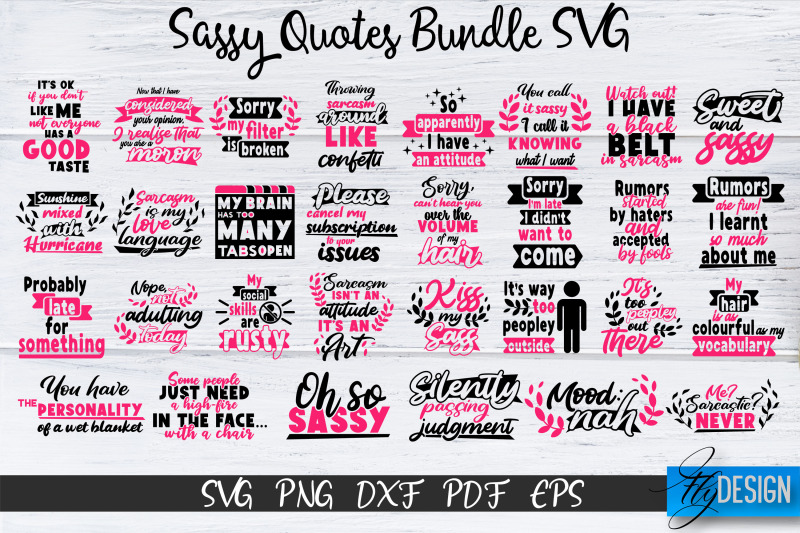 sassy-quotes-bundle-sassy-svg-sarcastic-quotes-svg-vol-2