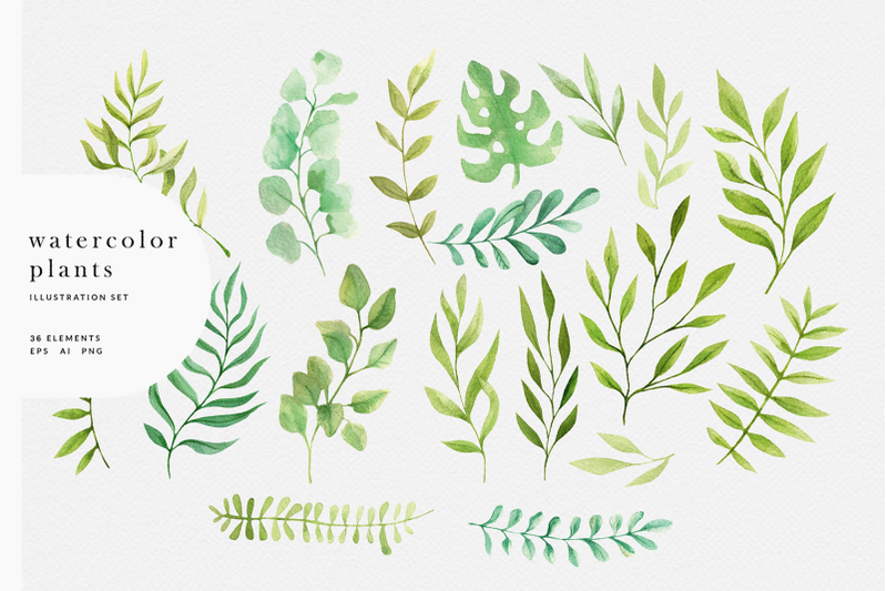 watercolor-amp-graphic-plants-pack