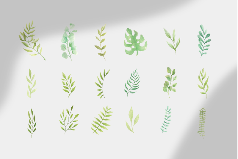 watercolor-amp-graphic-plants-pack
