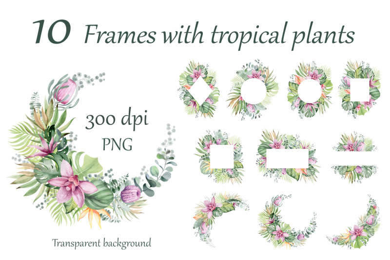 10-watercolor-frames-of-tropical-plants-png