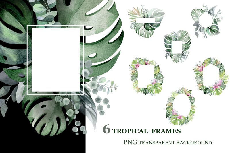 clipart-of-tropical-floral-frames-and-bouquets-png-600-dpi