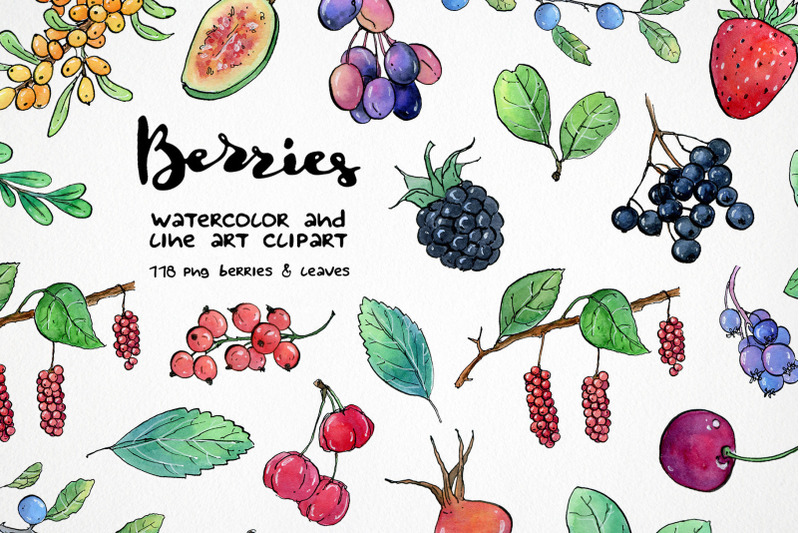 watercolor-berry-clipart-strawberry-blueberry-cherry-raspberry-png