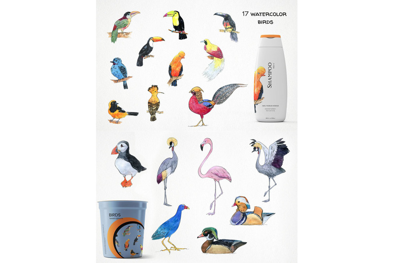 watercolor-swallow-birds-tropical-birds-seamless-patterns