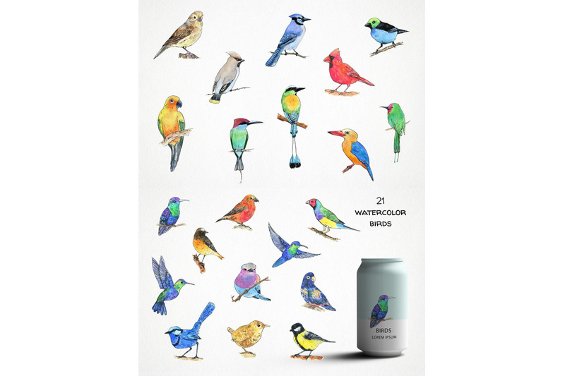 watercolor-swallow-birds-tropical-birds-seamless-patterns
