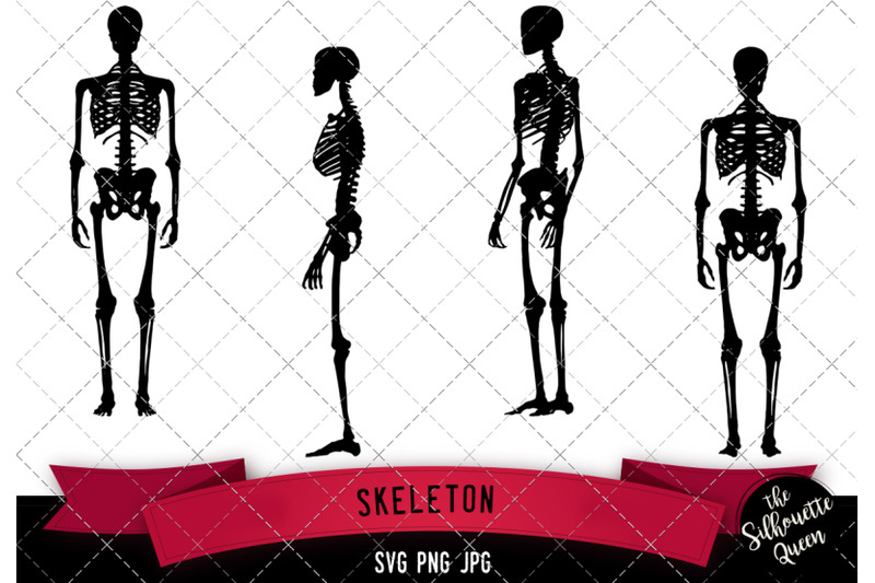 skeleton-silhouette-vector