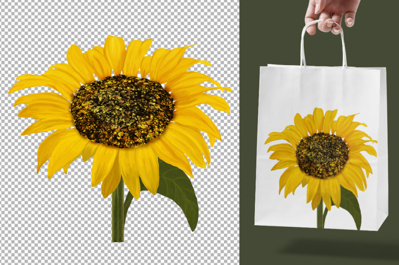 sunflowers-clipart-sublimation-decorative-flowers