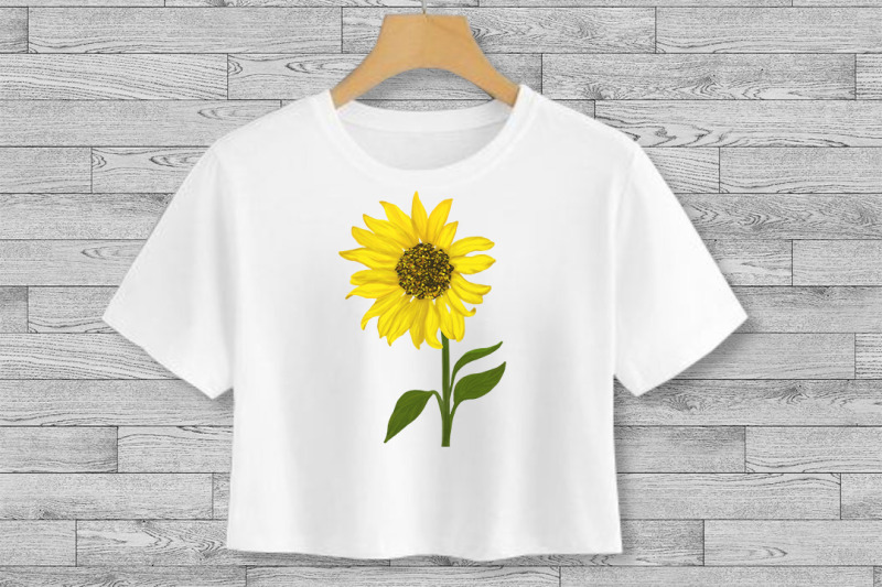 sunflowers-clipart-sublimation-decorative-flowers