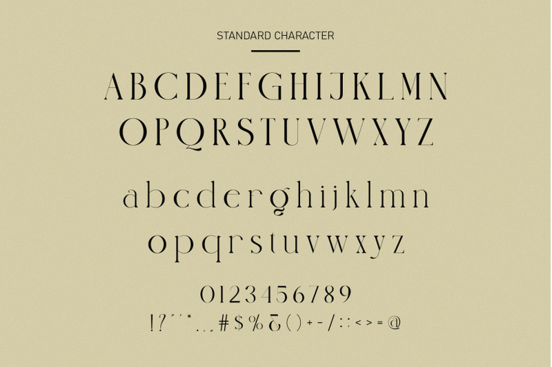 nindea-modern-ligature-serif