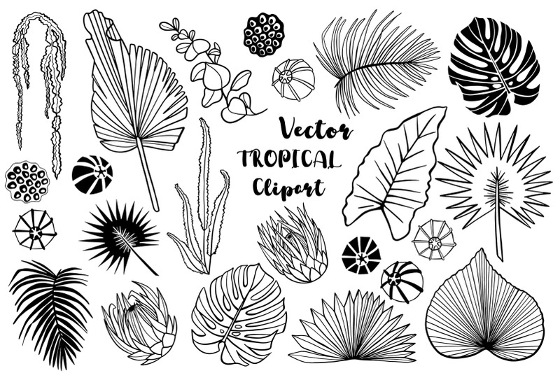 vector-tropical-leaves-clipart
