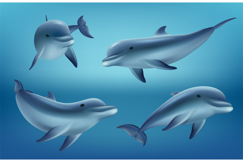 dolphins-realistic-ocean-or-marine-animals-swim-fishes-with-flippers