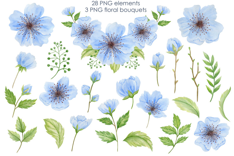 watercolor-blue-cherry-blossom-clipart