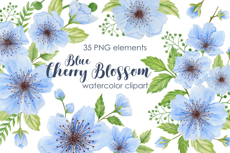 watercolor-blue-cherry-blossom-clipart