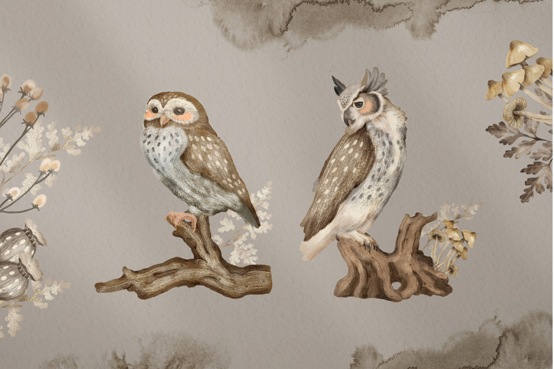 owls-watercolor-forest-birds-clipart-and-patterns