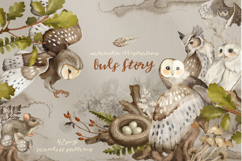 owls-watercolor-forest-birds-clipart-and-patterns