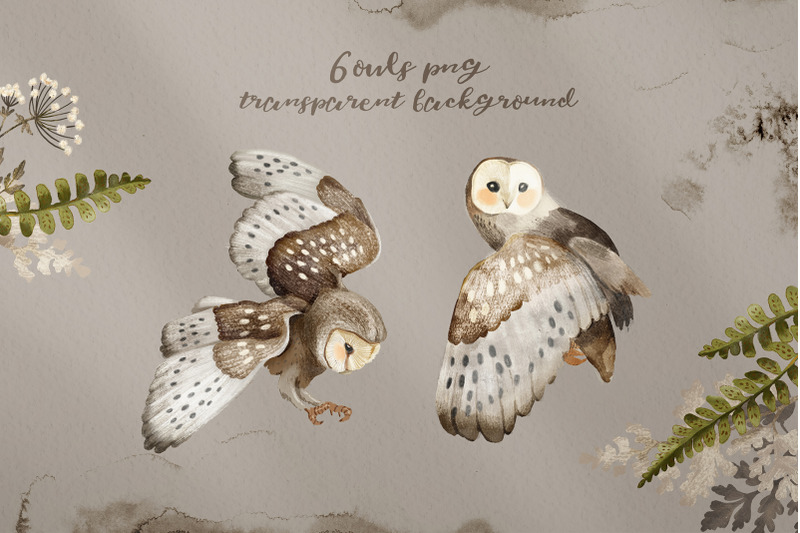 owls-watercolor-forest-birds-clipart-and-patterns