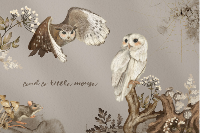 owls-watercolor-forest-birds-clipart-and-patterns