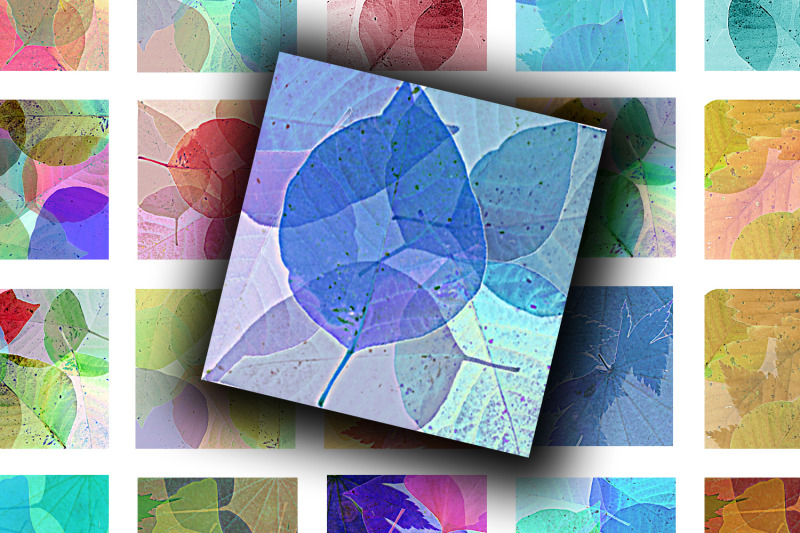 digital-collage-sheet-leaves