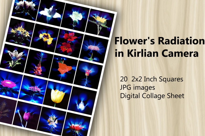 digital-collage-sheet-kirlian-flower-radiation