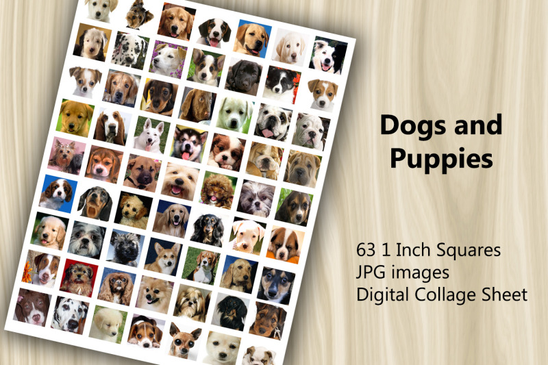 digital-collage-sheet-dogs-and-puppies