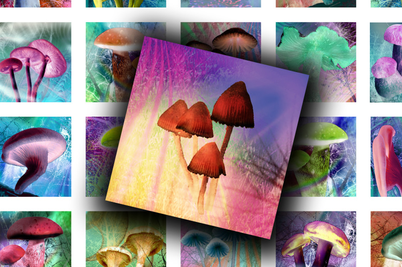 digital-collage-sheet-shone-mushrooms