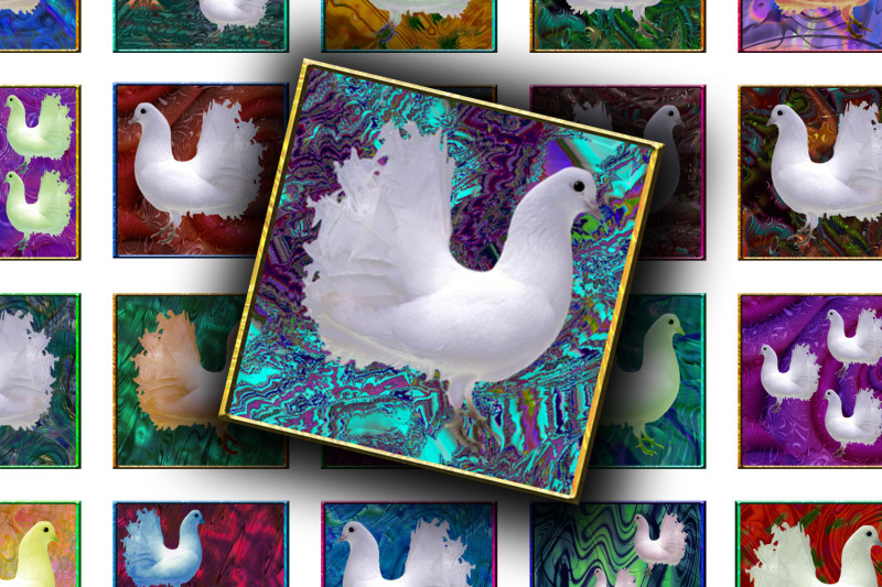 digital-collage-sheet-pigeons