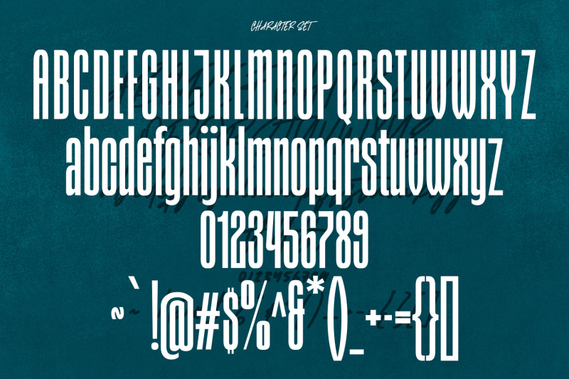 styxes-font-duo-script-display