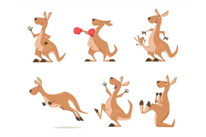 kangaroo-tropical-wild-animal-kangaroo-from-australia-exact-vector-ca