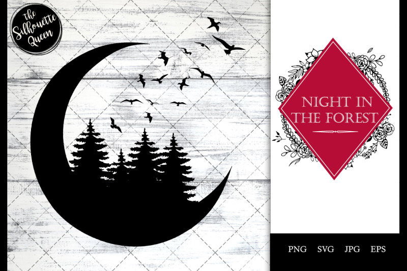 night-in-the-forest-moon-trees-and-birds-flying