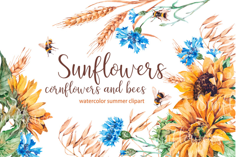 watercolor-sunflowers-cornflowers-and-bees-set