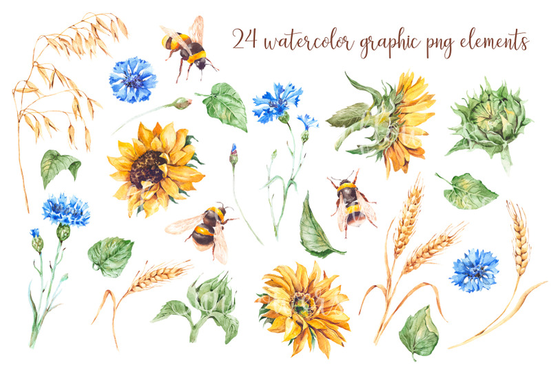 watercolor-sunflowers-cornflowers-and-bees-set