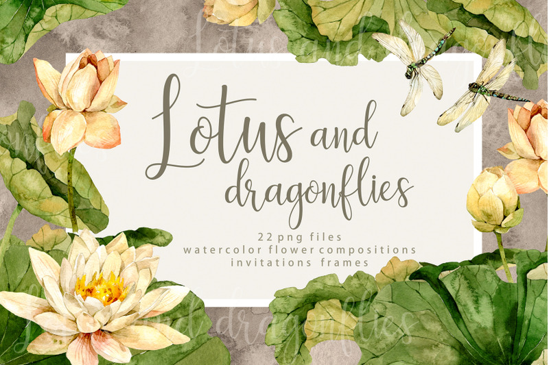 waterlilies-lotus-and-dragonfly-set