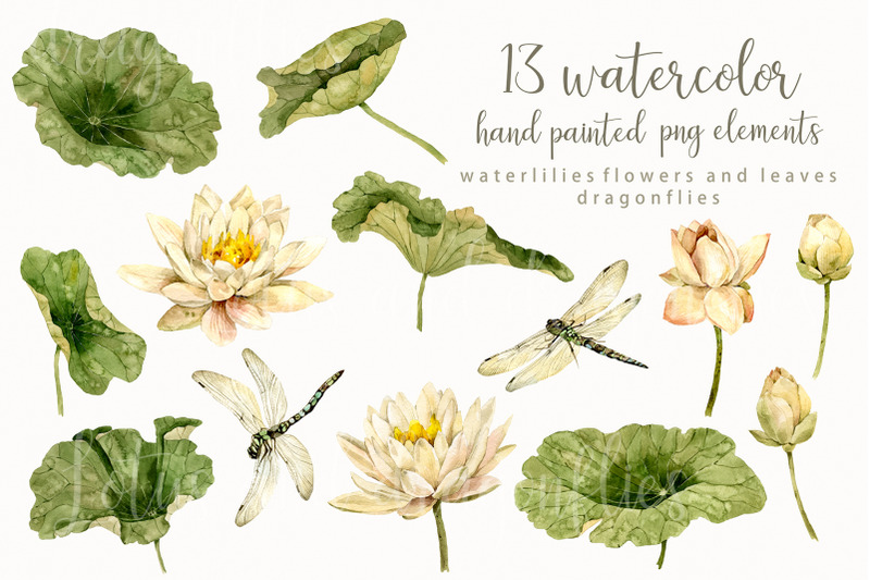 waterlilies-lotus-and-dragonfly-set