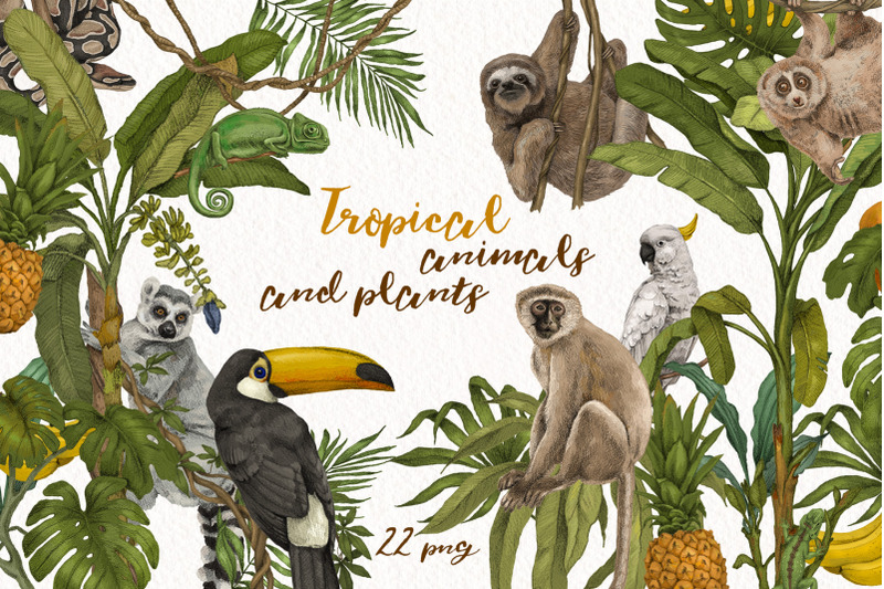 tropical-jungle-animals-plants-set