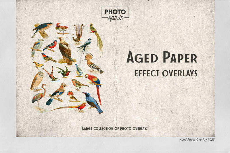 aged-paper-effect-overlays