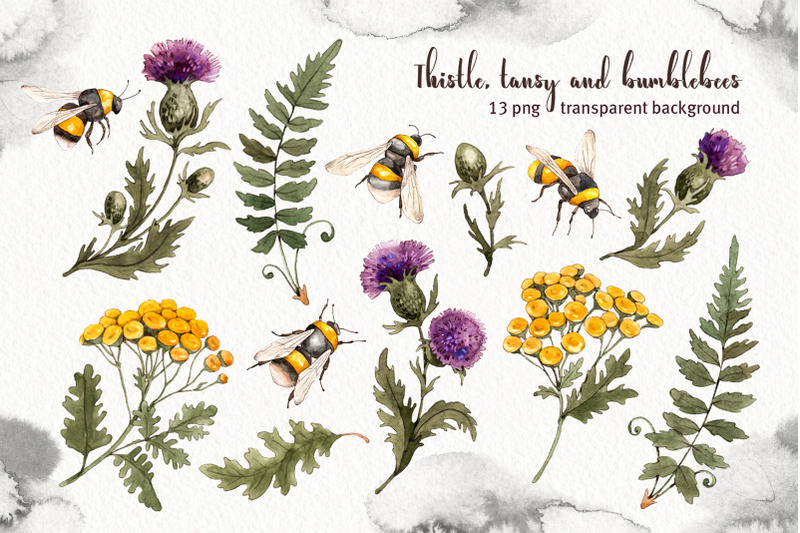 thistle-tansy-bumblebees-watercolor-summer-flowers