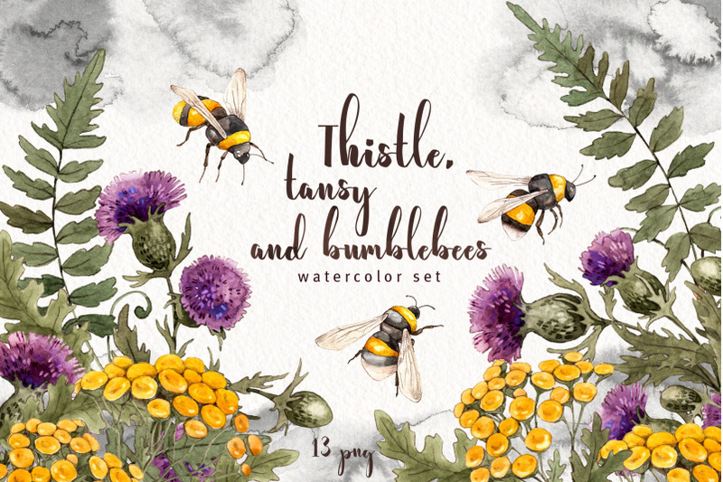 thistle-tansy-bumblebees-watercolor-summer-flowers