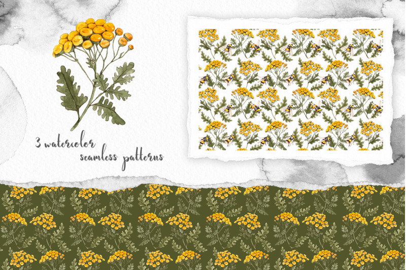 thistle-tansy-bumblebees-watercolor-summer-flowers