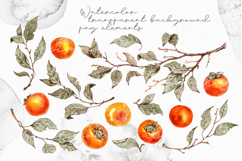 persimmon-mediterranean-ceramic-tile-orange-fruits-on-the-brunches