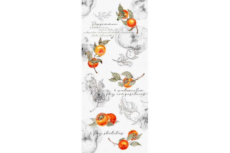 persimmon-mediterranean-ceramic-tile-orange-fruits-on-the-brunches