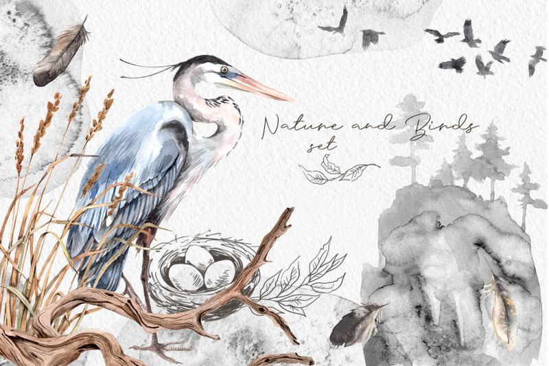 watercolor-nature-and-birds-set