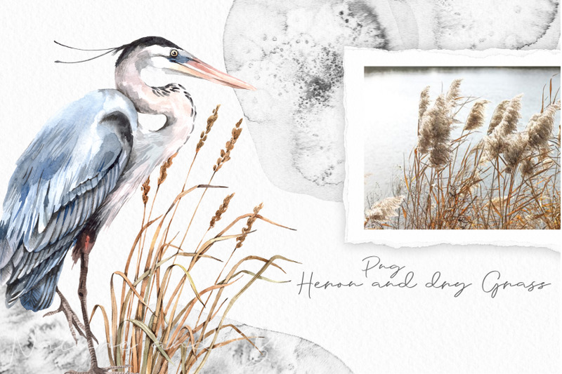 watercolor-nature-and-birds-set