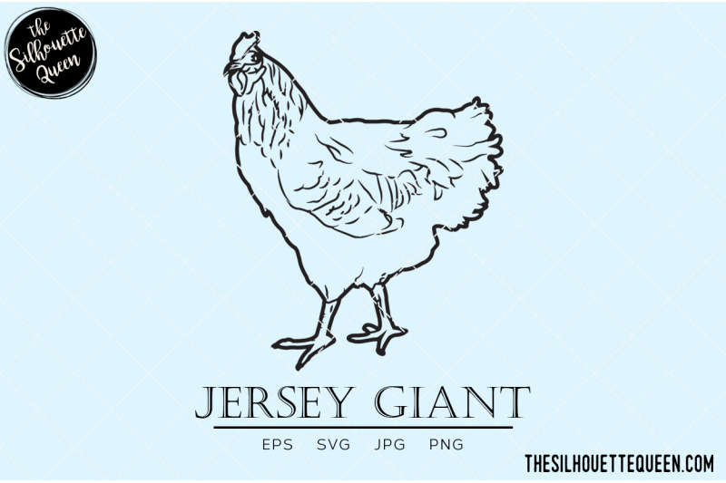 jersey-giant-chicken-vector