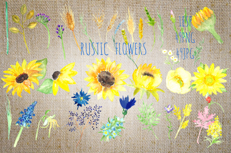 rustic-sunflowers-watercolor-clipart