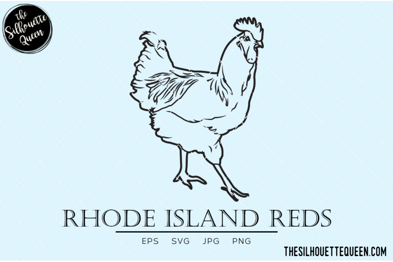 rhode-island-reds-chicken-vector