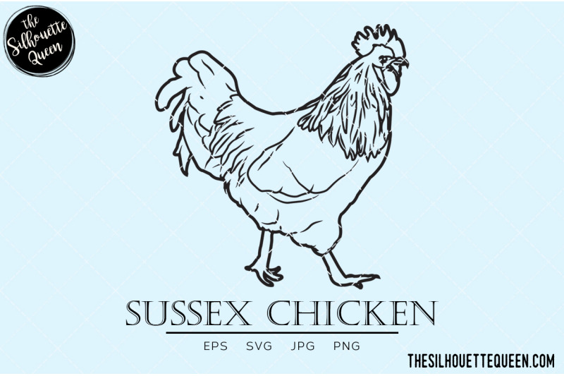 sussex-chicken-vector