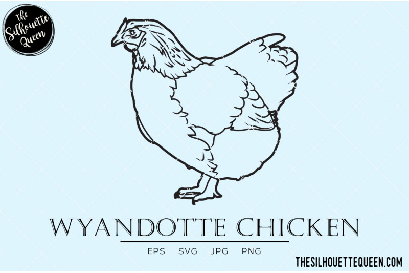 wyandotte-chicken-vector