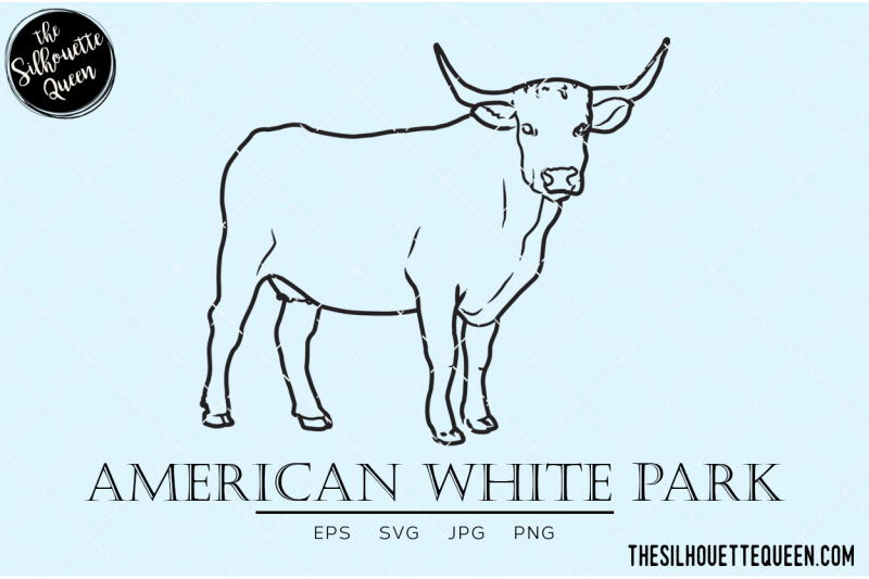 american-white-park-vector