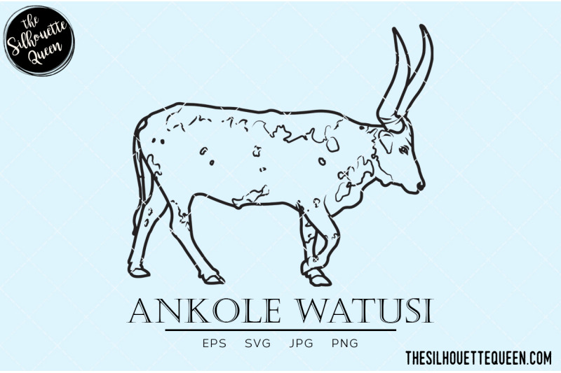 ankole-watusi-vector