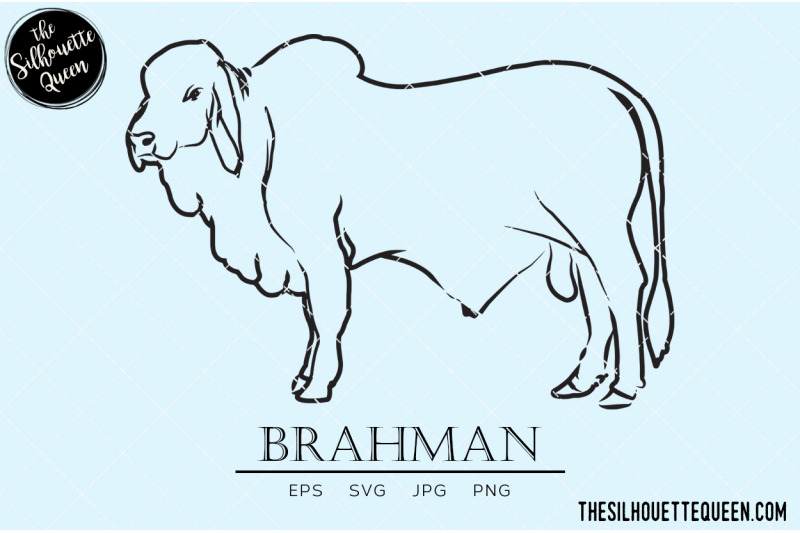 brahman-vector